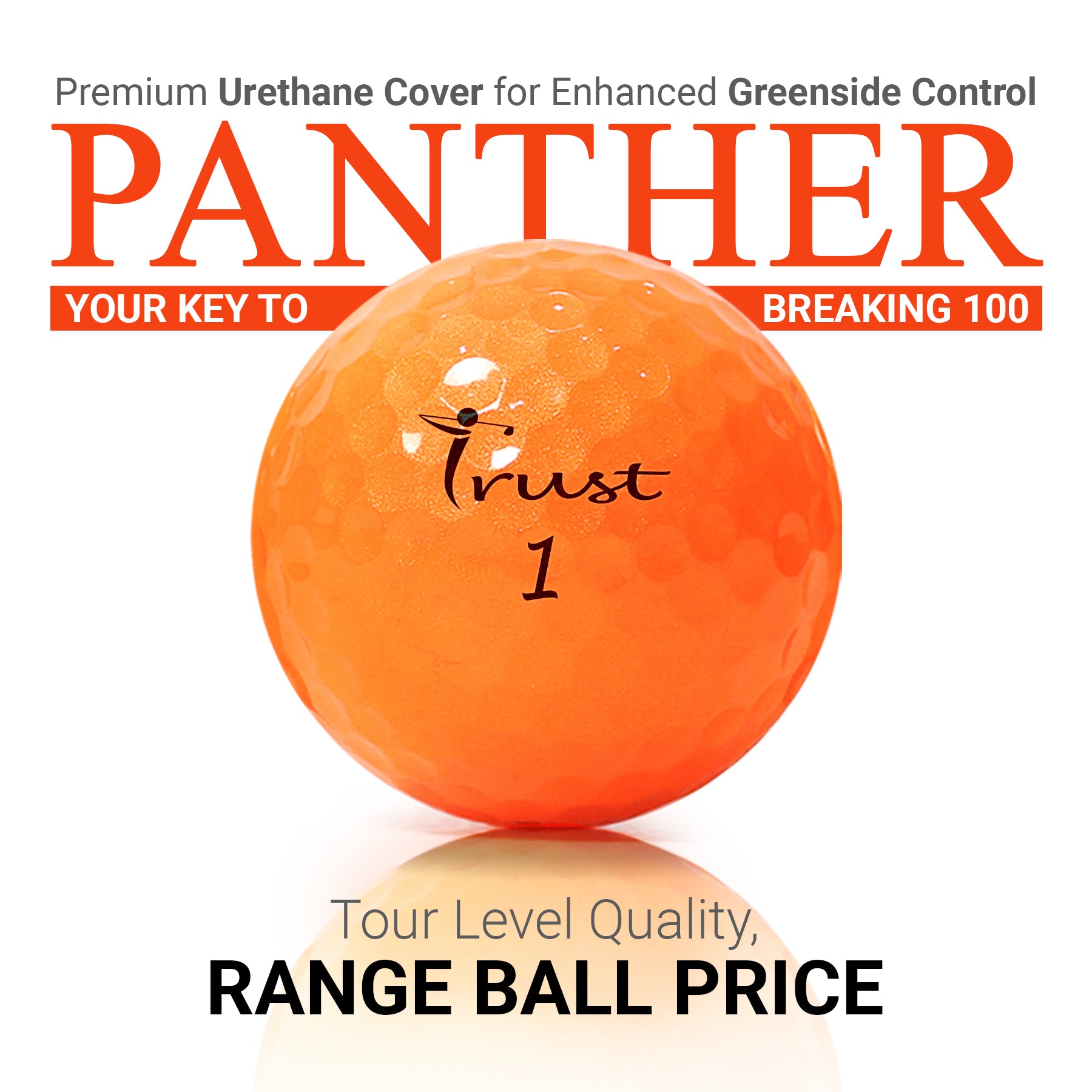 Panther: 2-pc Urethane For Breaking 100